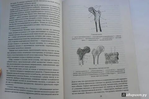 Схема неумывакина