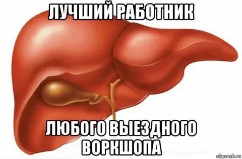 Печень говорит