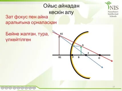 Климаксан гүлінің фотосы