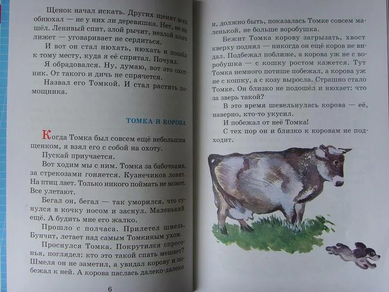 Книга Чарушин рассказы про зверей и птиц. Рассказы про зверей и птиц Евгений Чарушин. Рассказы Чарушина о животных. Рассказы для детей Чарушина о животных