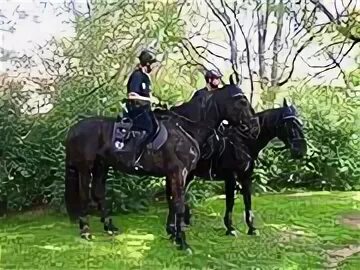 Mounted unit