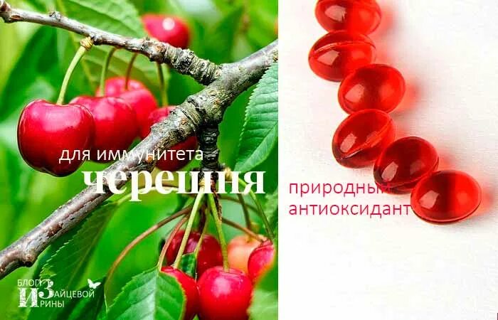 Можно ли черешню при грудном вскармливании. Черешня при беременности. черешня при гастрите с повышенной кислотностью. черешня при грудном вскармливании. польза черешни при беременности.