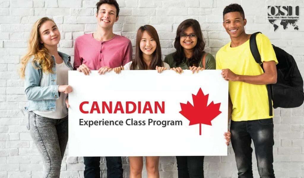 Молодежь за границей. Волонтерство в канаде. Experience canada. Иммиграция в канаду. Black economic empowerment.