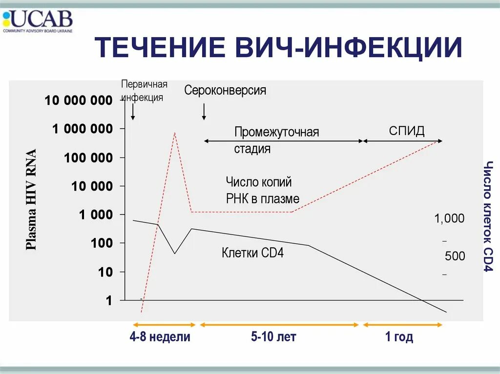 Сколько клеток вич