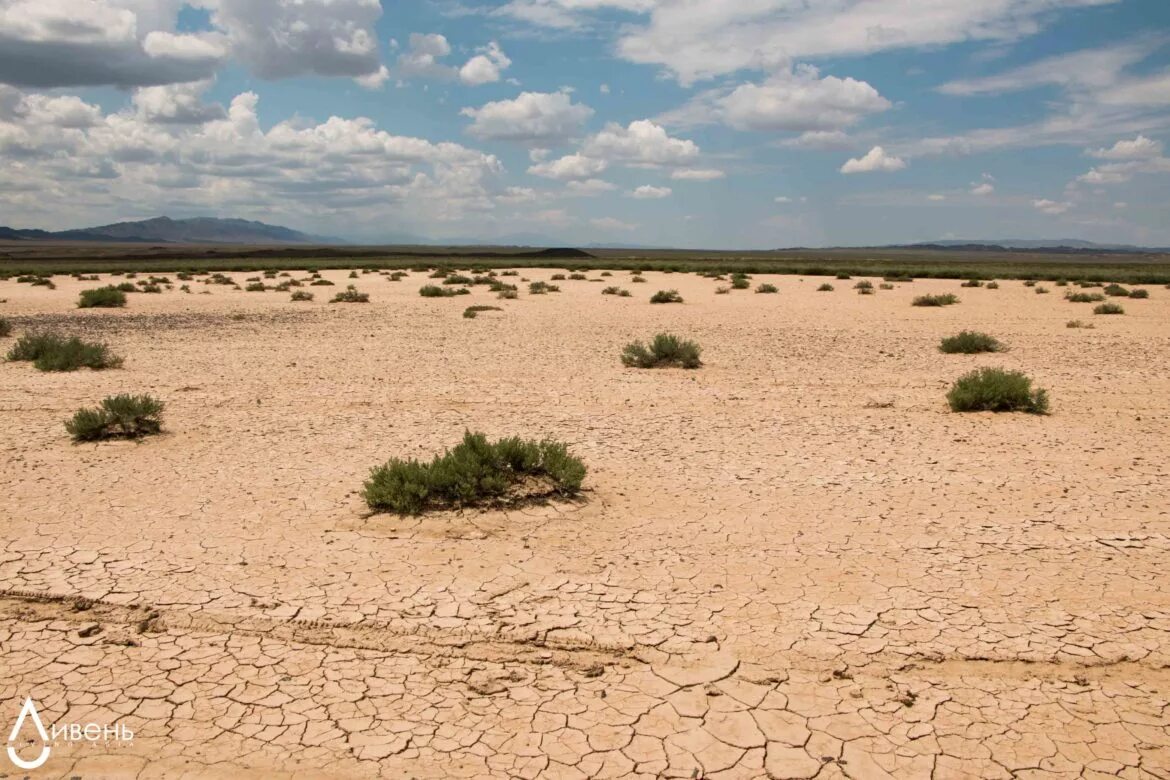 Аральское море и пустыня каракум. Пустыня в средней азии. Солончак аральское море. Опустынивание земель в дагестане. Монголия гоби климат.