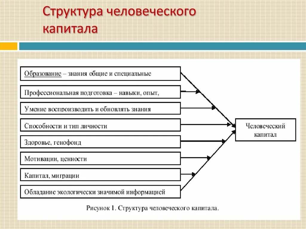 Характеристика человеческого капитала. Структура человеческого капитала. Характеристики человеческого капитала. Человеческий капитал примеры. Компоненты человеческого капитала социальная.