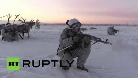 Арктические мотострелковые бригады