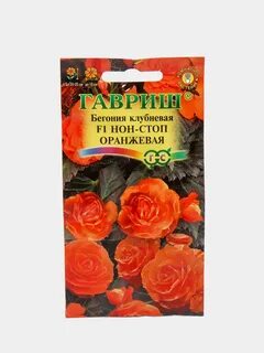 Бегония нон стоп из семян