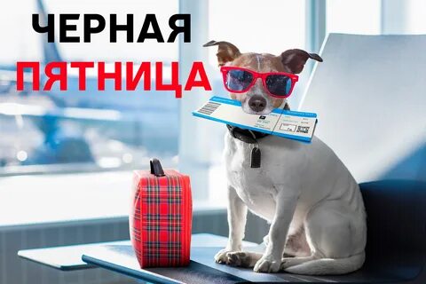 Дешевые авиабилеты 2024