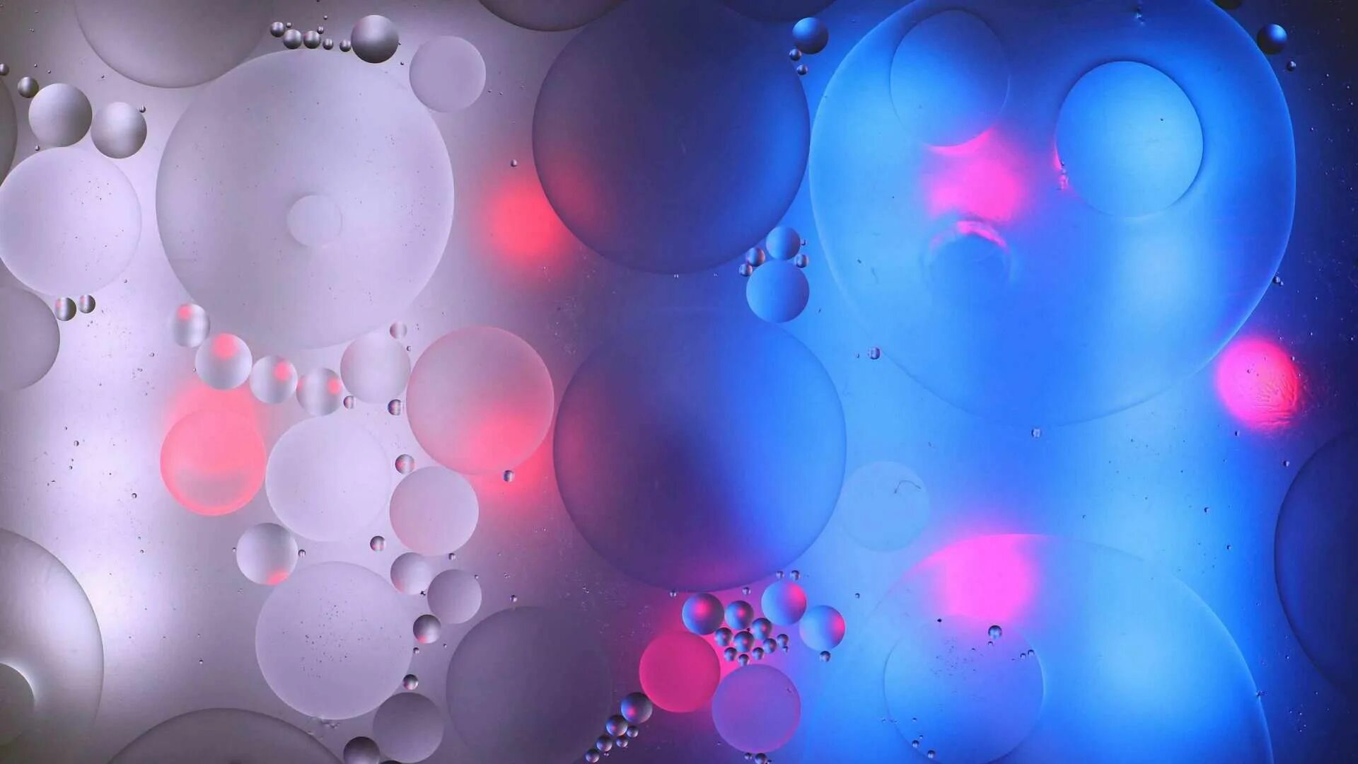 Красивые пузырьки. Абстракция пузыри. Фотообои пузыри. Обои пузырьки. Виниловые обои пузырями