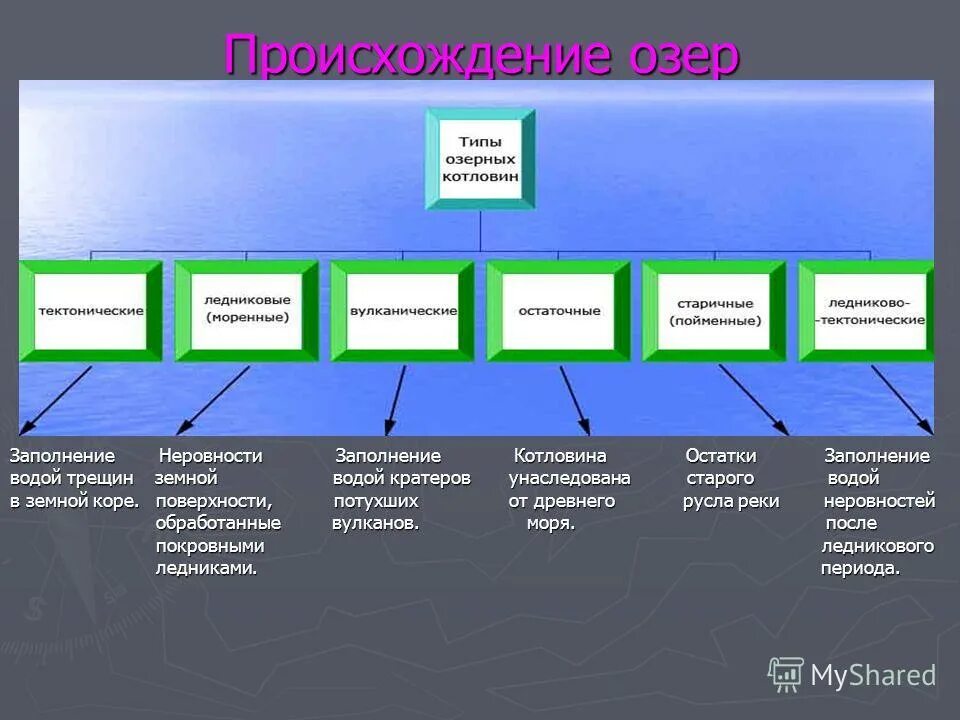 Происходит какой вид. Типы происхождения озер. Виды озёр по происхждению. Типы озер по происхождению котловин. Происхождение озерных котловин.