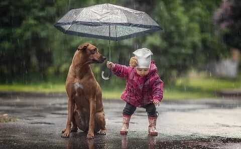 Включи жизнь забот