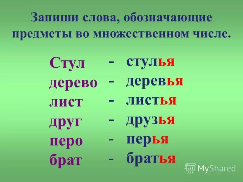 Множественное слово тетрадь