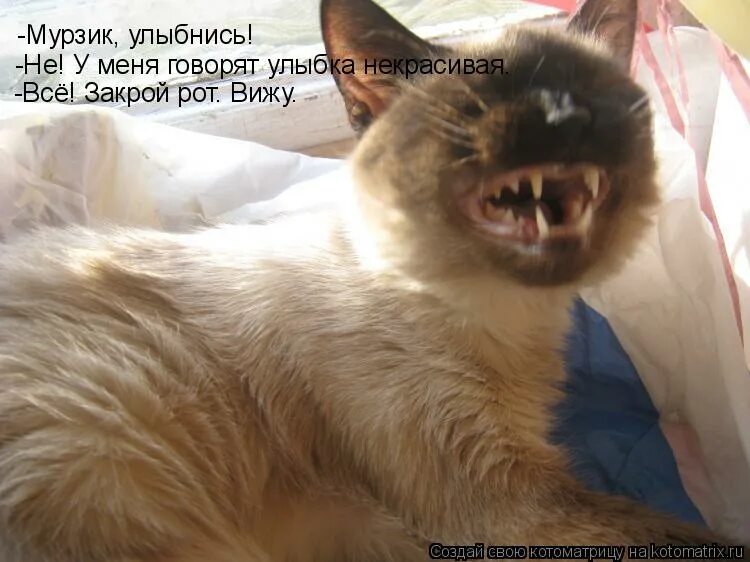 улыбнись красавчик. люблю когда ты улыбаешься. они говорят том улыбнись. когда я ее фотографировал я не говорил ей улыбнись. стихотворение про ульяну.