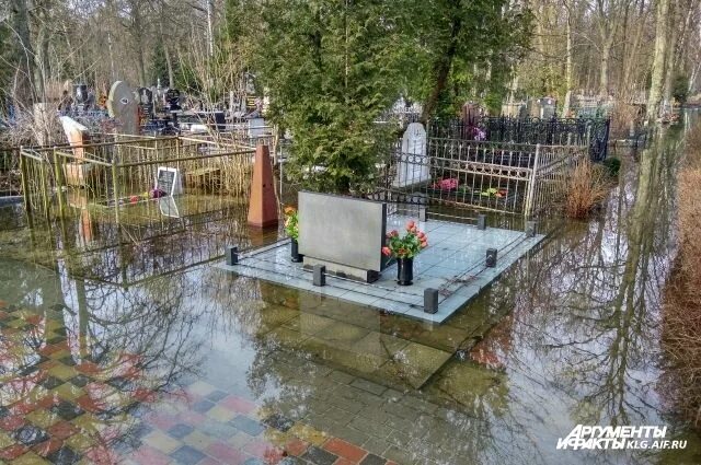 Более 17 млн рублей потратят на содержание калининградских кладбищ: Яндекс.Новос