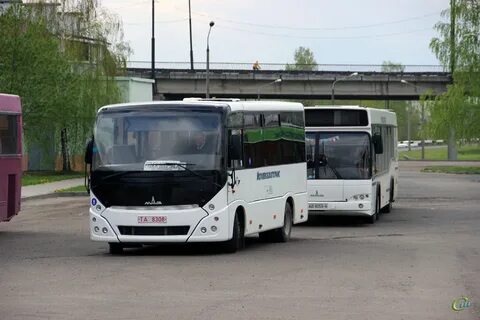 Автобус кировск бобруйск