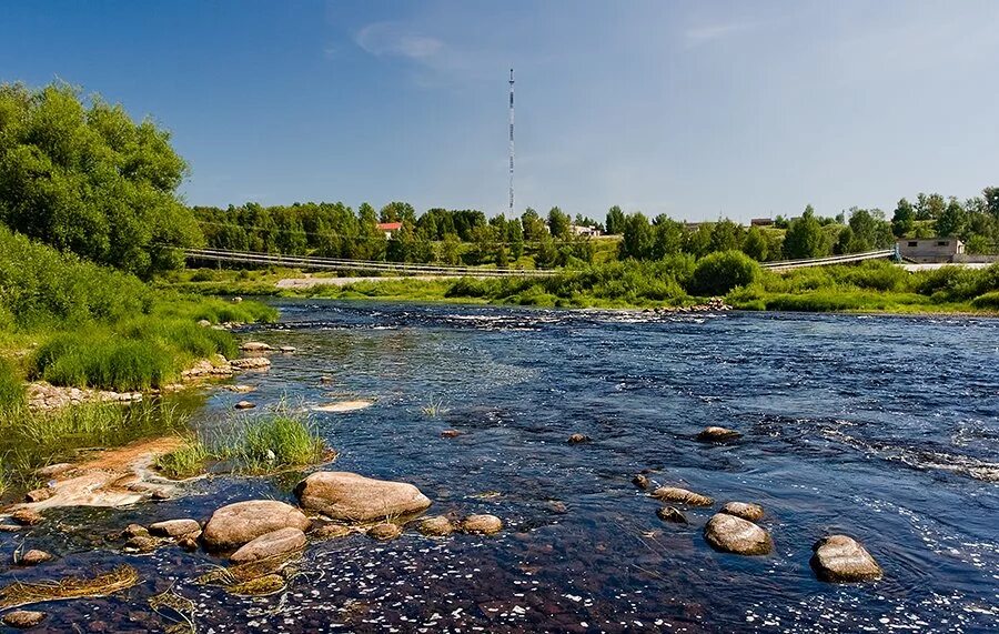 Великий порог. Река Мста Боровичи. Мста речка Боровичи. Река Мста Новгородская. Река Мста в Боровичах.