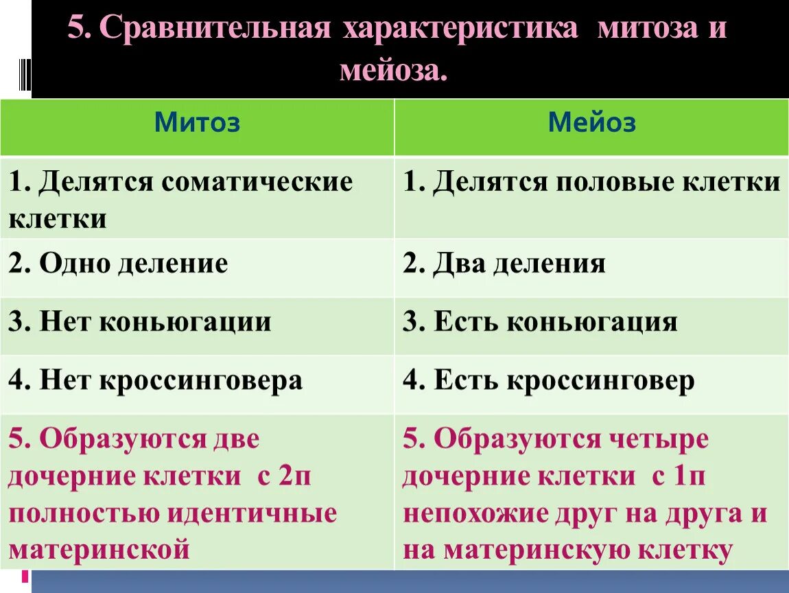 Выбери характеристики мейоза. Признаки митоза и мейоза таблица. Сравнительная характеристика митоза и мейоза. Сравнительная характеристика митоза и мейоза 1. Особенности митоза и мейоза.