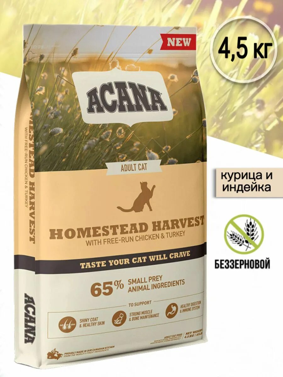 Acana для кошек. Акана индейка для кошек. Acana для котят. Акана для кошек с курицей. Акана для кошек купить