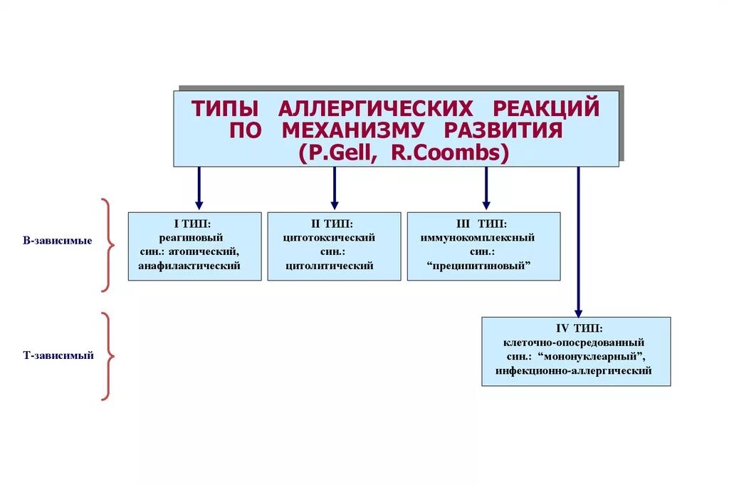 Типы аллергических реакций по механизму развития. Аллергические реакции 1 типа патофизиология. Механизмы аллергических реакций таблица. Классификация аллергии патофизиология. Аллергия типы реакций