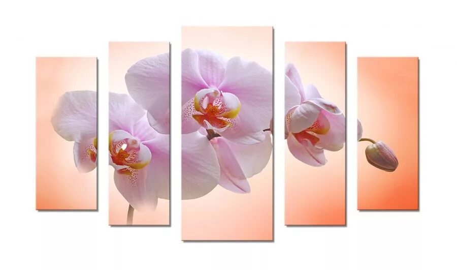Купить картину 70 70. Модульная картина Орхидея. Модульная картина 70 на 70. Модульные картины на стену орхидеи. Модульная картина Орхидея светло-бежевый.