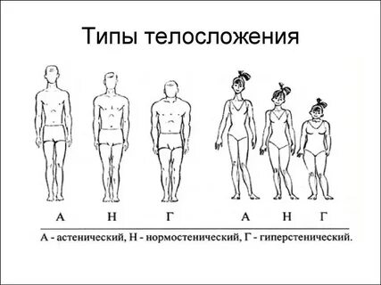 Астеноидного телосложения