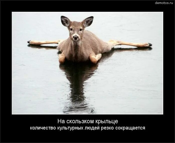 Скользкий язык