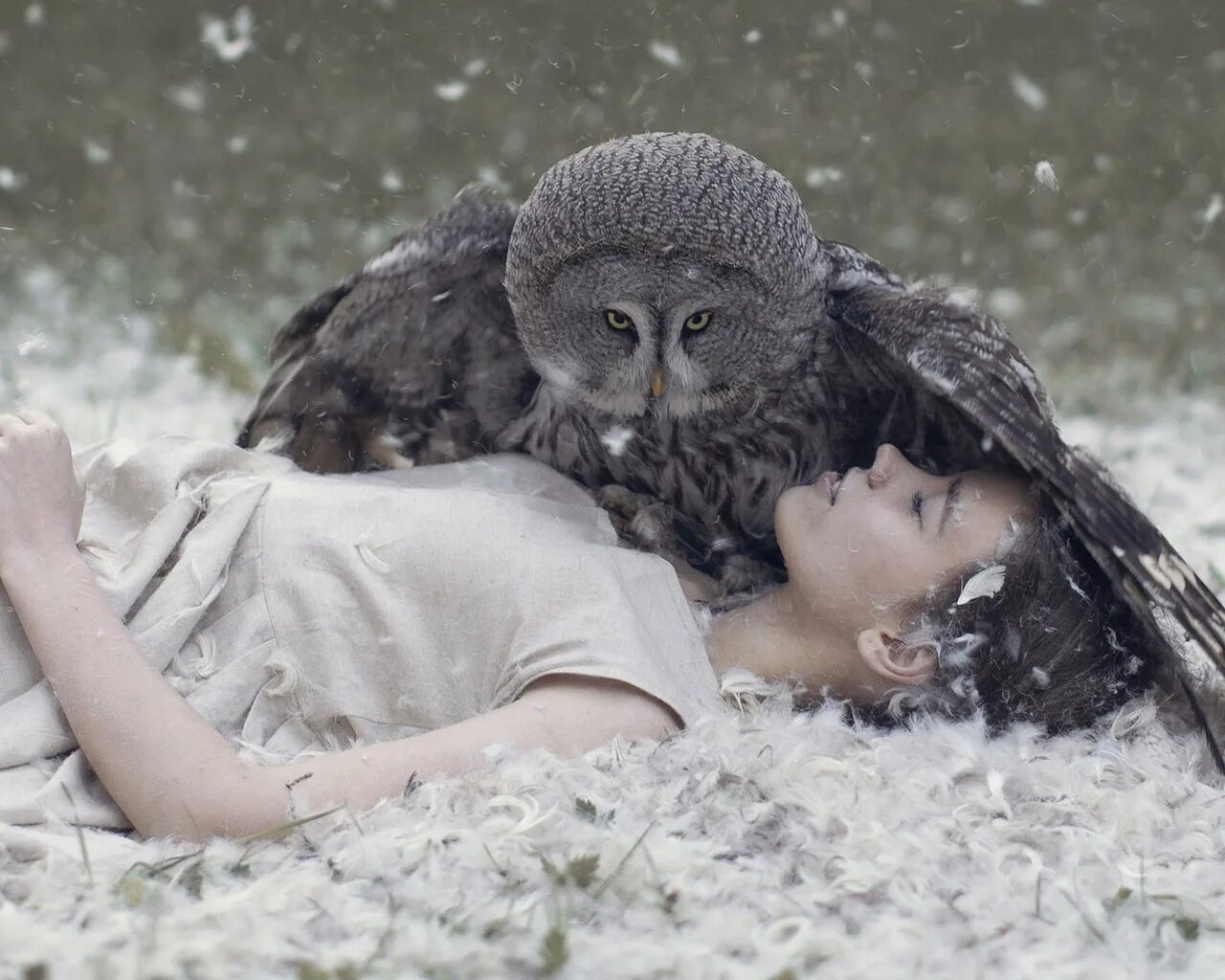 Привет сова. Совы и пожилые люди именно такие. Человек сова. Совы и пожилые люди именно такие. Хронотип жаворонок и сова.