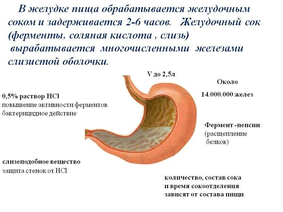 Метеоризм слизь