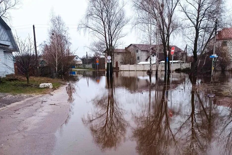 Уровень воды сож в славгороде сегодня реке. Наводнение. Гомель потоп. Подтопление. Паводок Гомель 2023.