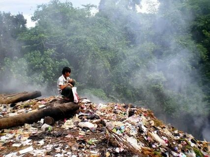 Damage caused to environment
