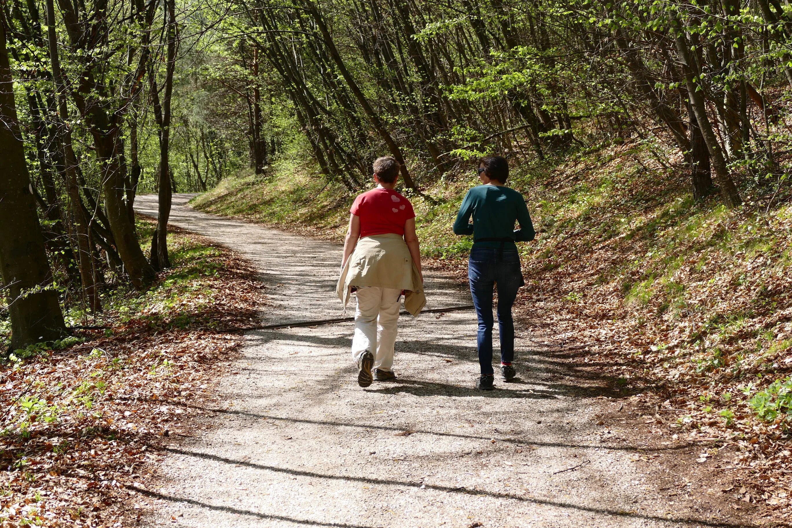 Walking izle. Тропа терренкур. Тропа здоровья терренкур Сочи. Терренкур Владикавказ. Пешие прогулки на природе.