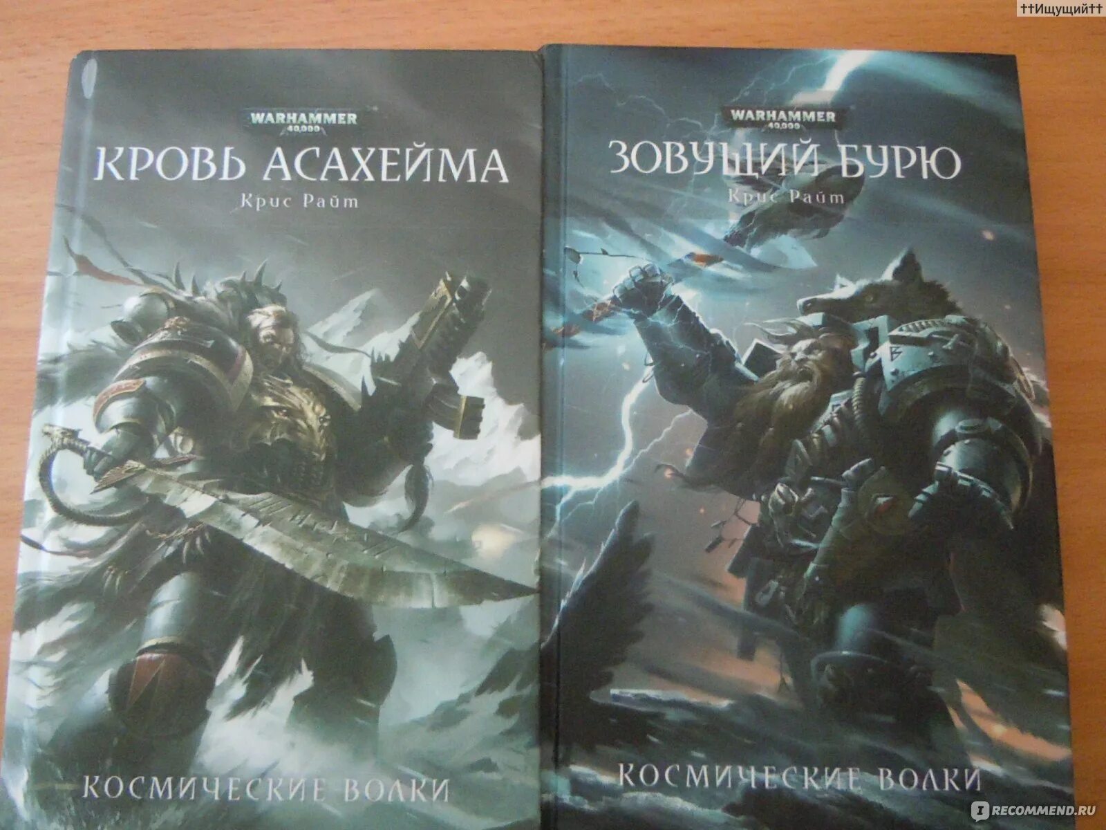 Несущий бурю читать. Зовущий бурю. оседлавший бурю книга. кровь асахейма.