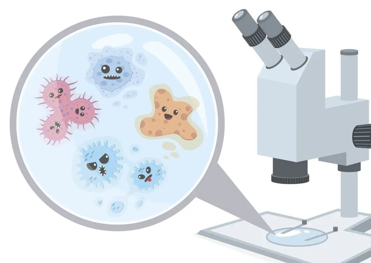Микроскоп микробиология. Микроорганизмы под микроскопом. Бактерии в микроскопе. Микроскоп damingzhi 15000х. Бакетриипод микроскопом.