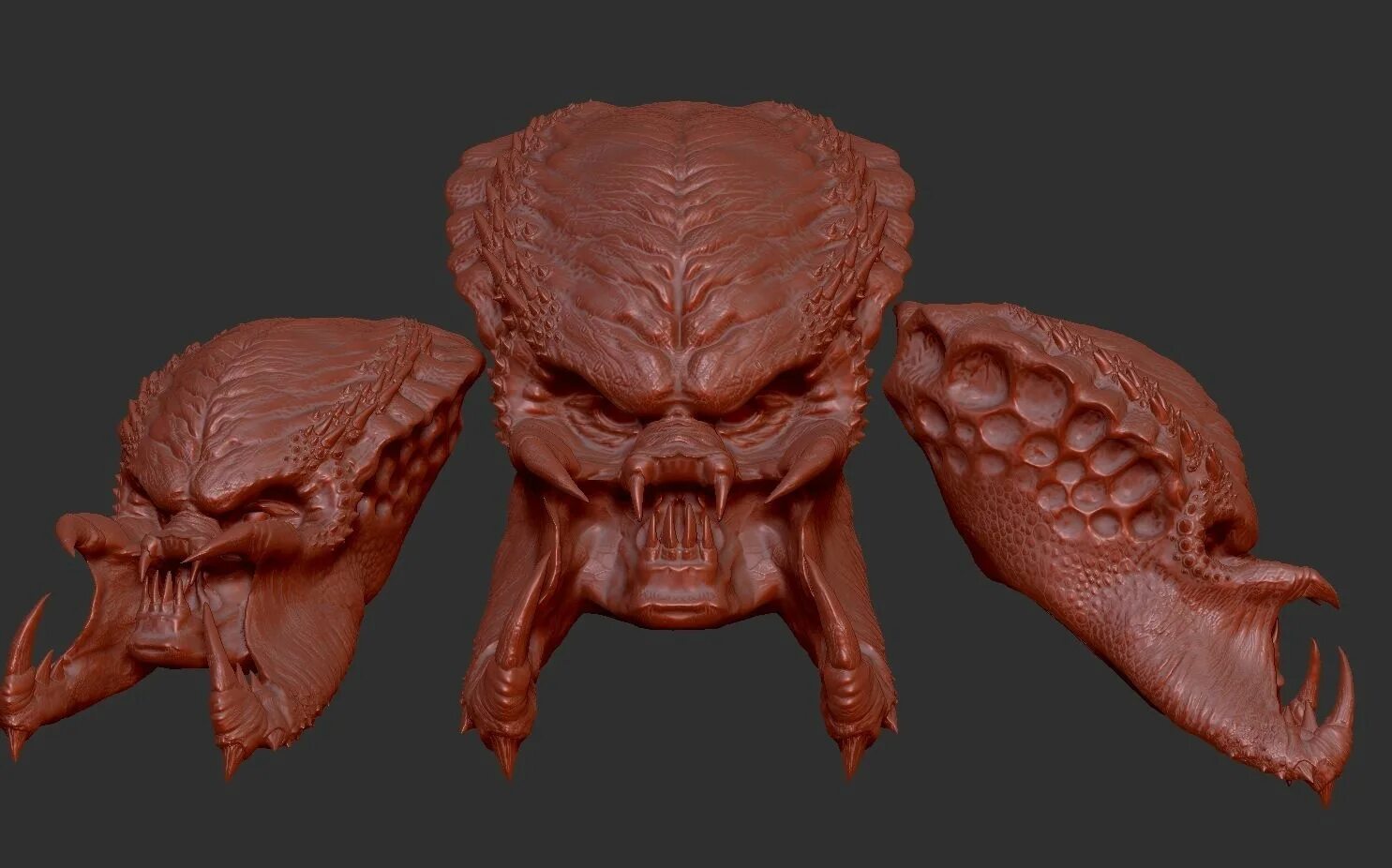Predator model