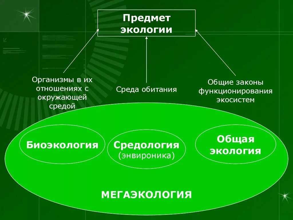 Экология и ее значение 9 класс. Предмет экологии. Объекты изучения экологии. Предмет изучения экологии. Экология среды обитания.