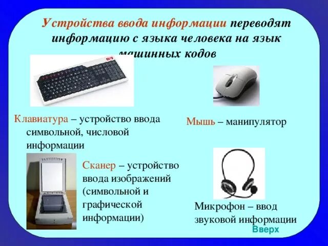 Выберите устройства ввода информации мышь клавиатура. Выберите устройства ввода информации мышь клавиатура