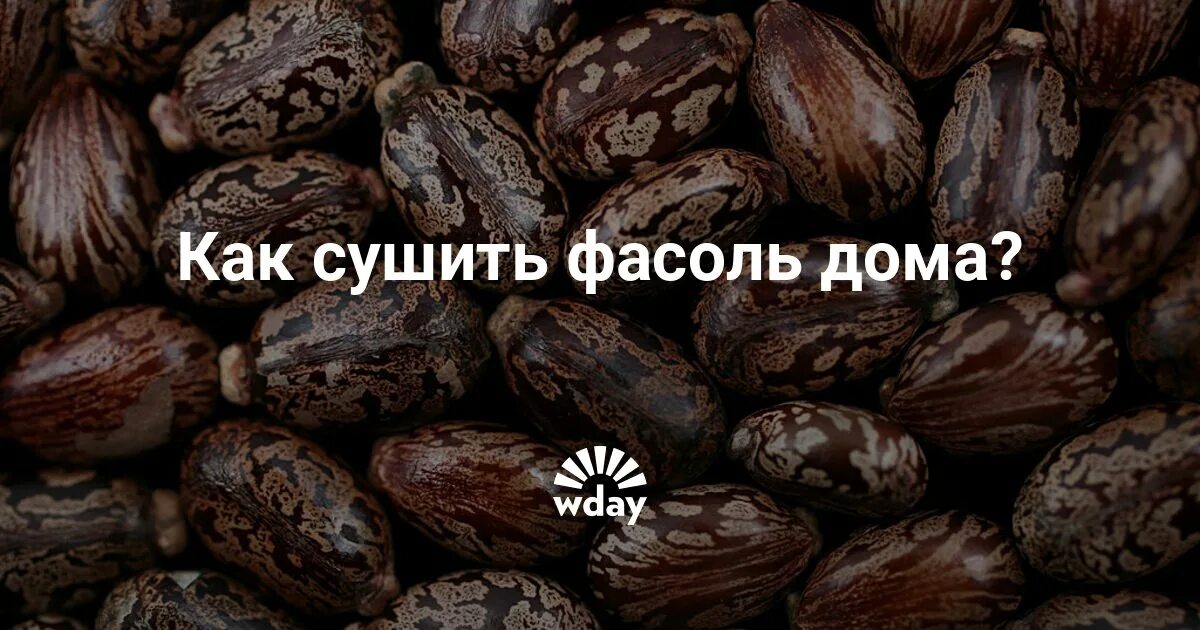 Как сушить фасоль. Высушенная фасоль. сушить фасоль на зиму.