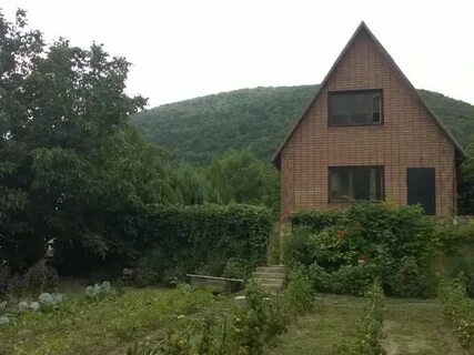 Лесничество абрау
