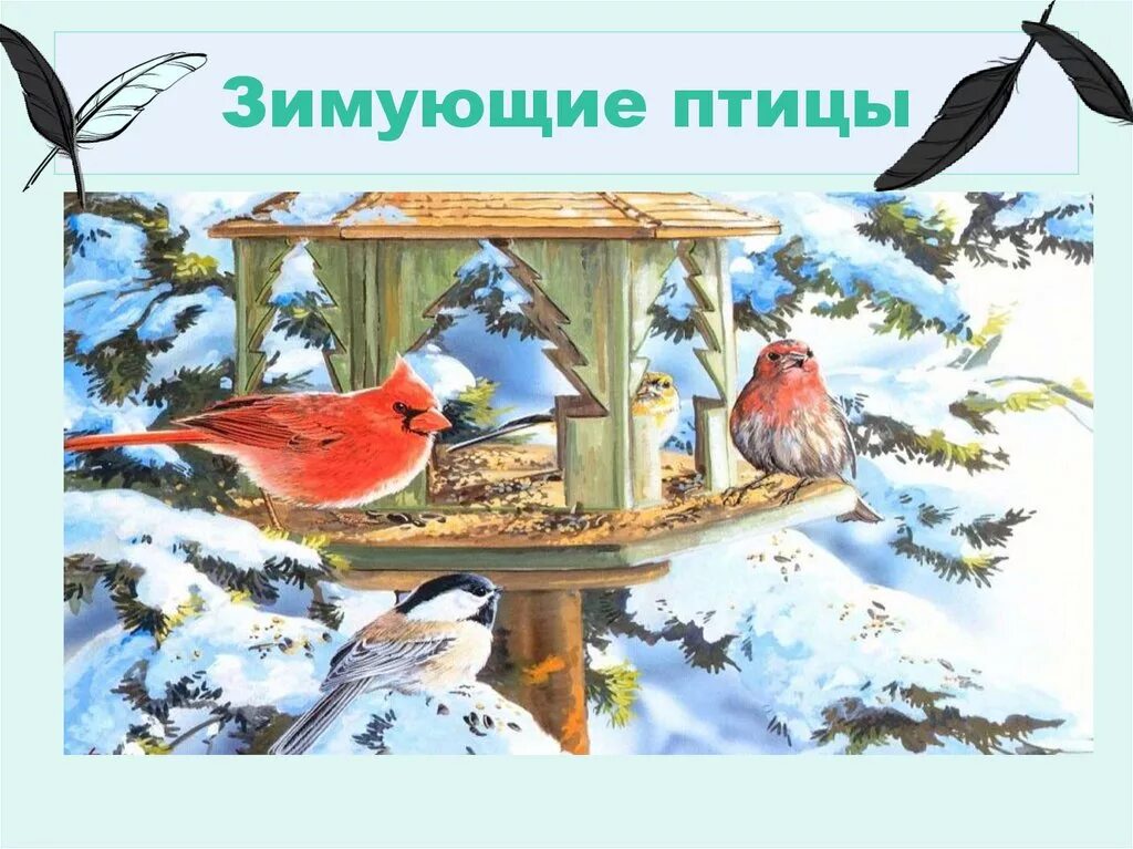 Альбом зимующие птицы. Птичья столовая. надпись зимующие птицы. зимующие птицы обложка. фон для детских презентаций зимующие птицы.