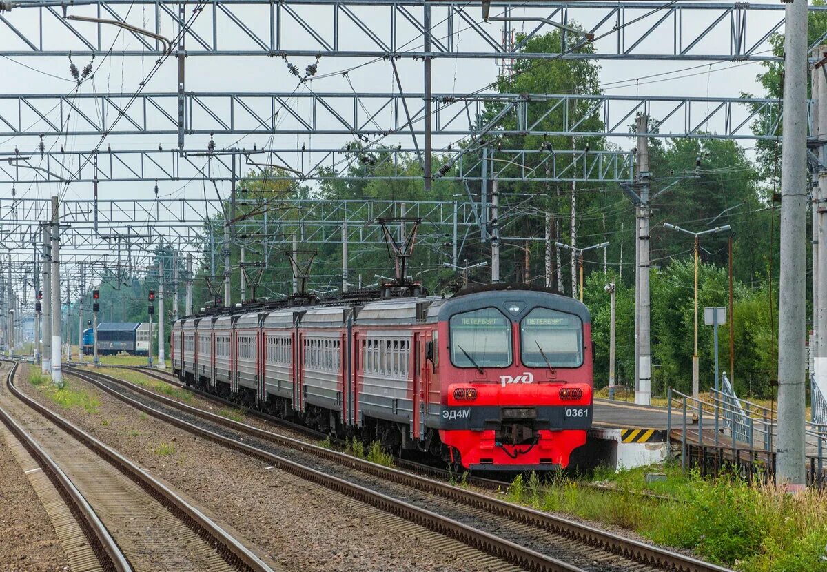 Жд электропоезда. Эд4м-0361. Эд4м Белоостров. Локомотив поезд. Электрички России.