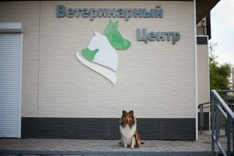 Иветас