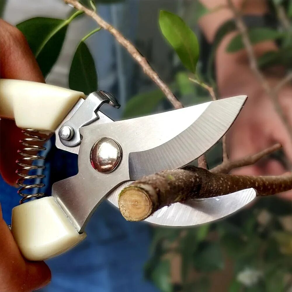 Секатор Садовая ножница. Секатор садовый pruning Shears. Секатор Garden Tools. Секатор садовый pruning Shears 5037.