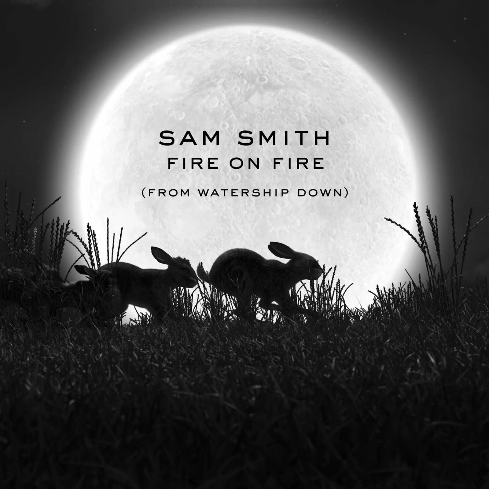 Sam down. Sam Smith Fire on Fire. Fire on Fire Сэм Смит. Fire on Fire from "Watership down" Sam Smith. Fire on Fire from "Watership down" Sam Smith текст.