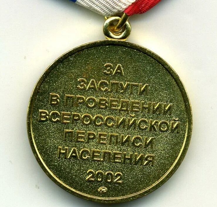 Заслуги в переписи населения. Заслуги в переписи населения. Медаль за заслуги в переписи населения. Медаль за заслуги в проведении всероссийской переписи населения 2002. Заслуги в переписи населения.