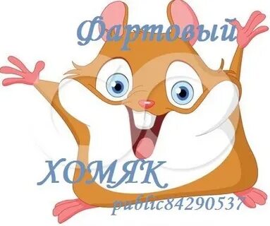 Карты хомяк 31 августа