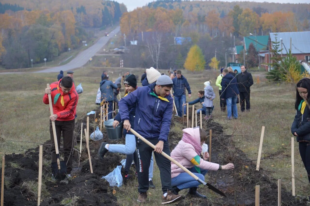 Труд в башкирии. Г белебей 2025. белебей лесничества. жители города белебей. сажают деревья в башкирии.