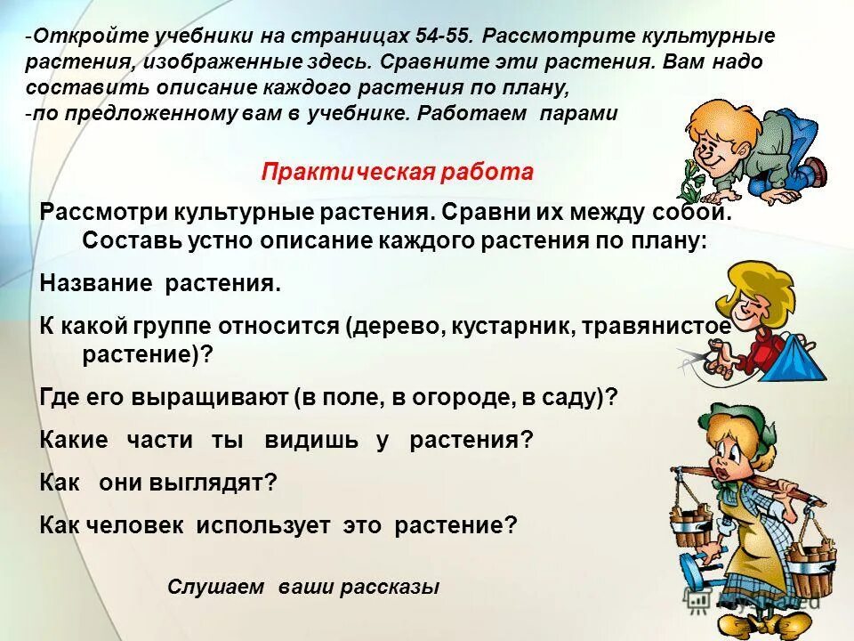 Открытый урок практическая работа. Практическая работа сравниваем растения. Учимся сравнивать и описывать культурные растения. Практическая работа Учимся сравнивать описывать культурные растения. Практическая работа сравнение культурных растений.