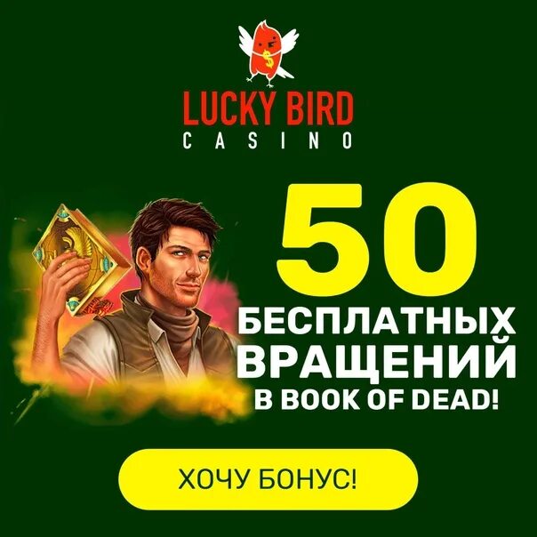 Lucky bird casino luckybird casino net ru. Лаки Бердс казино. Bird казино. Игровые бонусы. Bierd казино птички.