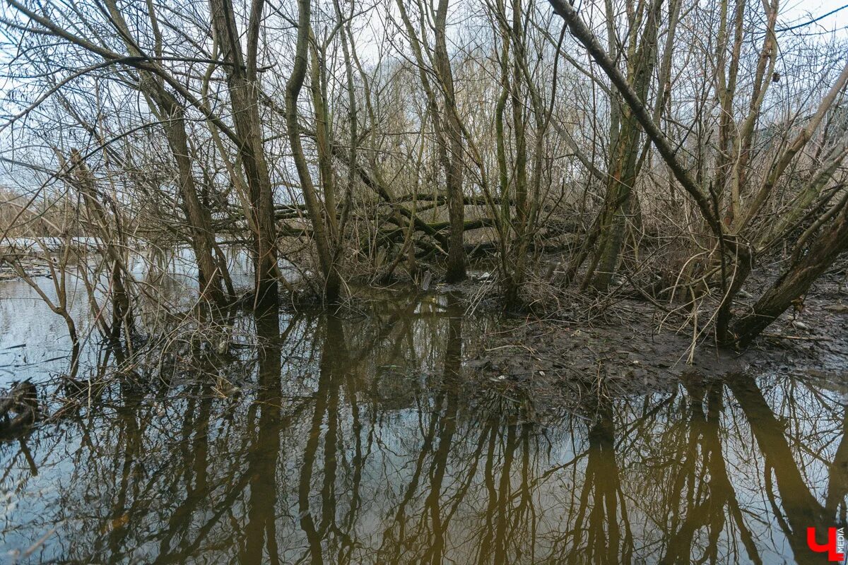 Уровень воды в клязьме сегодня галицы. Разлив реки Клязьма. Разлив реки Клязьма Дубрава. Разлив Клязьмы во Владимире. Гороховец разлив реки.